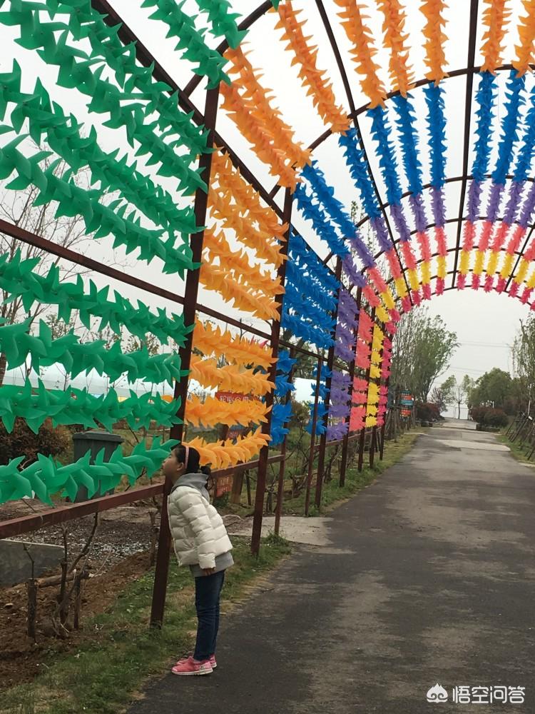 望湖城的合肥望湖城公园？