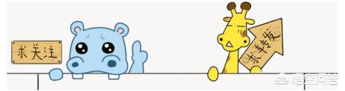 公共dns（修改dns配置为公共ip？）