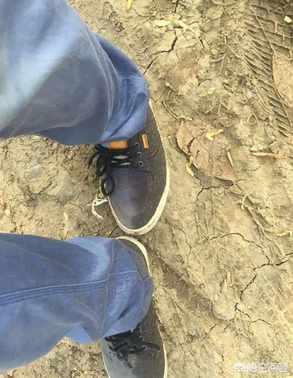 洒水车多次喷湿行人