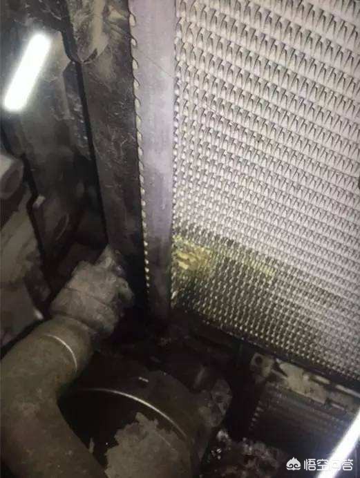 宝马525图片