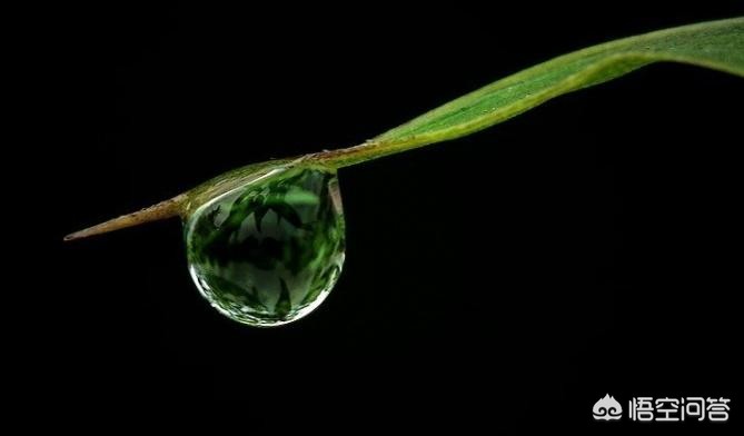 重庆网站推广排名公司有哪些,冯提莫成为重庆共青团推广大使,做直播得到如此成就,你怎么看待?