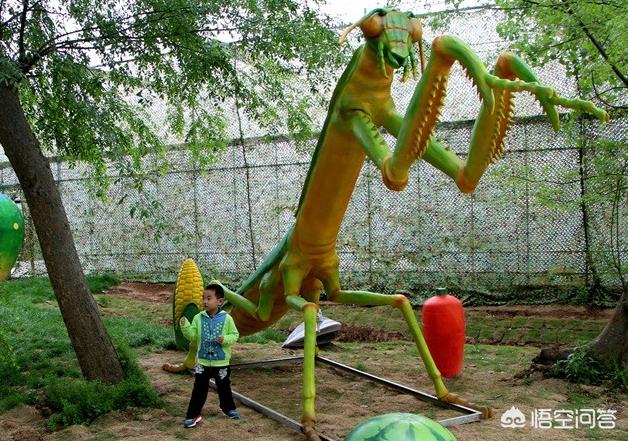 合肥三十岗瓜牛公园怎么样，适合游玩吗？