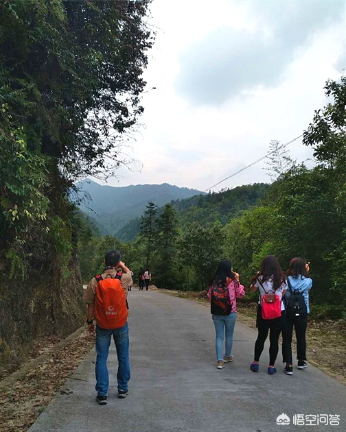 国际旅游保险哪家好，国际旅游保险哪家好一点