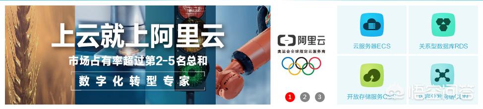 怎么快速搭建网站软件