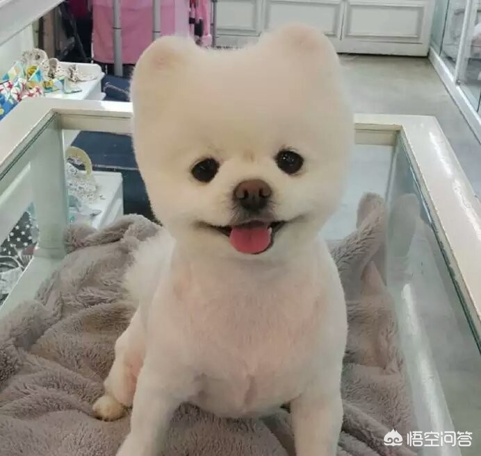 咬破手指写字求救