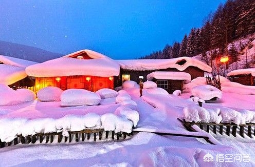 北京林业大学9名女生从哈尔滨前往雪乡途中遇车祸4死5伤，冬天去东北旅游安全吗？：旅行遇车祸致1死4伤