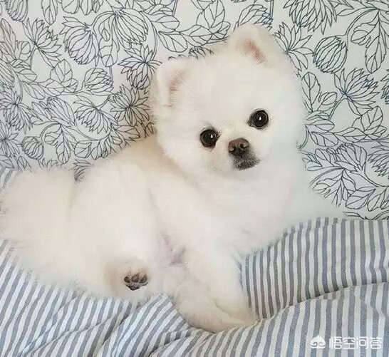 咬破手指写字求救