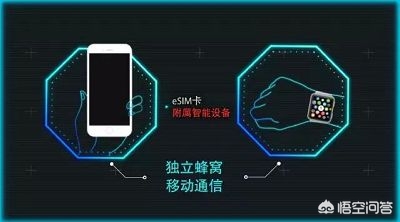 广州市什么时候有小灵通