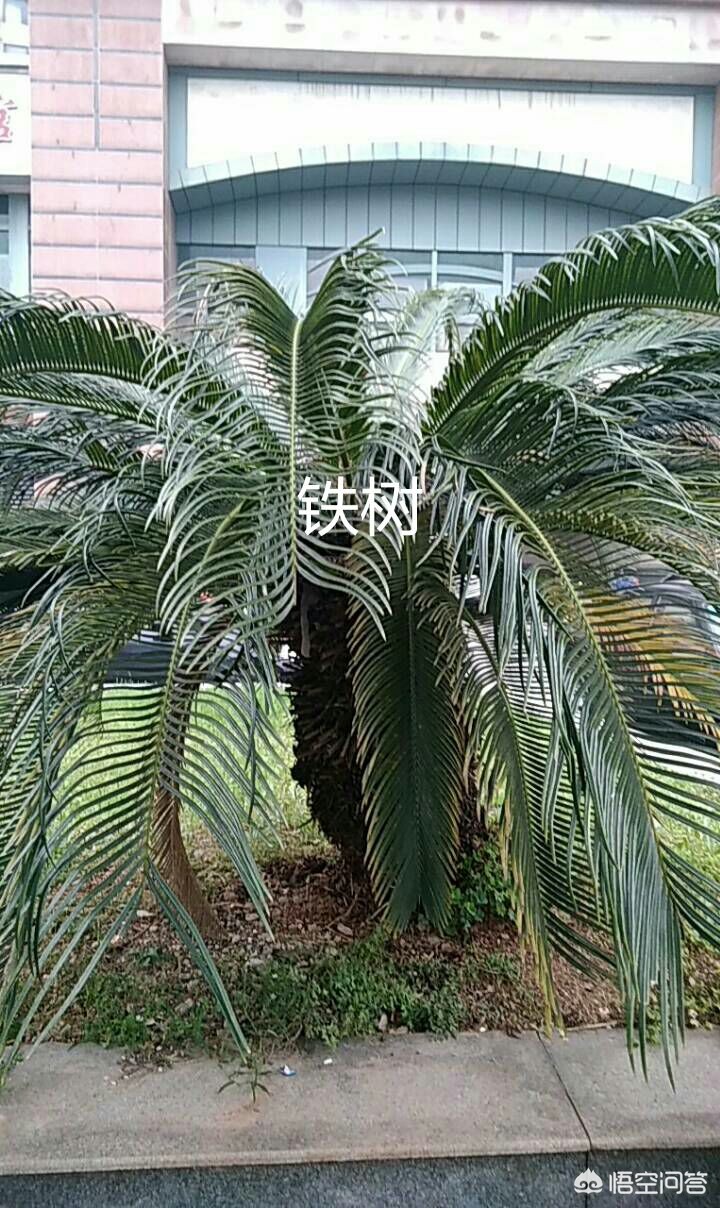 父子海外生活在线观看电影，父子海外生活在线观看电影