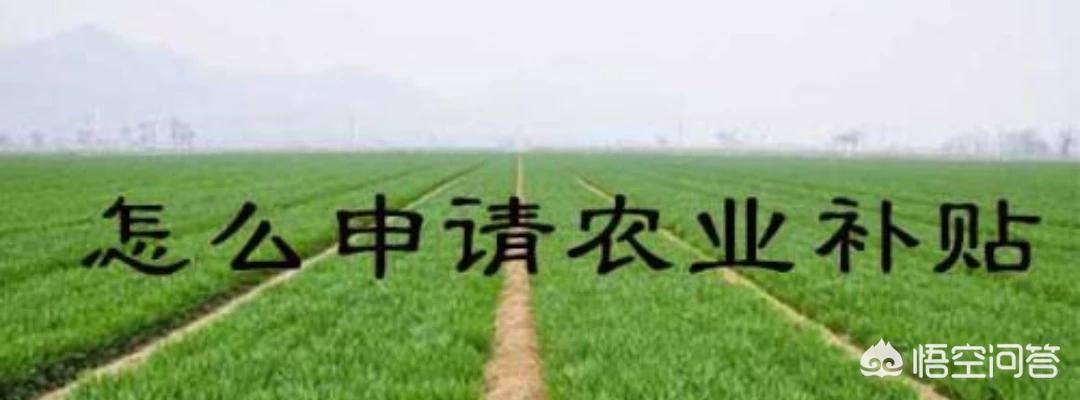 全面升级！国家税务总局电子申报软件正式推出，助您提前完成纳税任务，