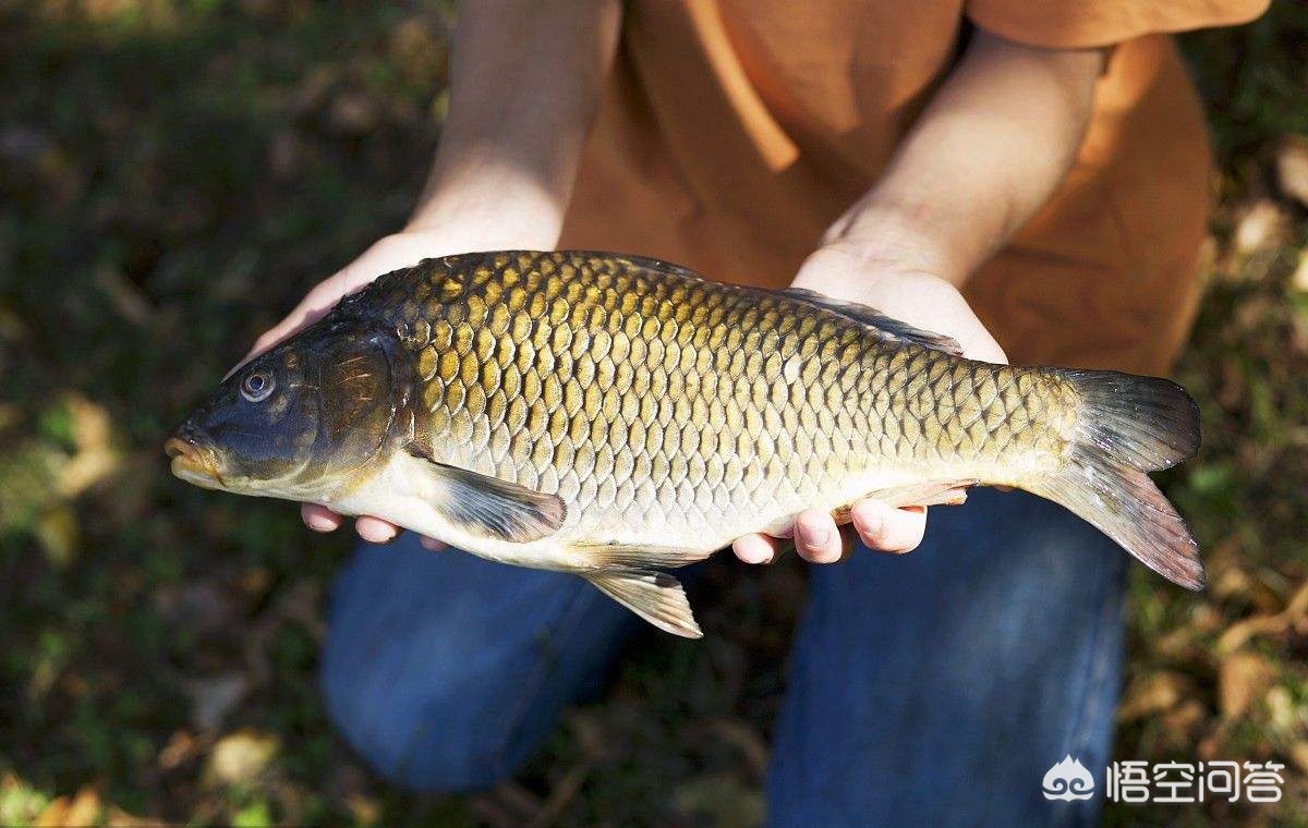 海外生活挣钱买美食，海外卖什么好