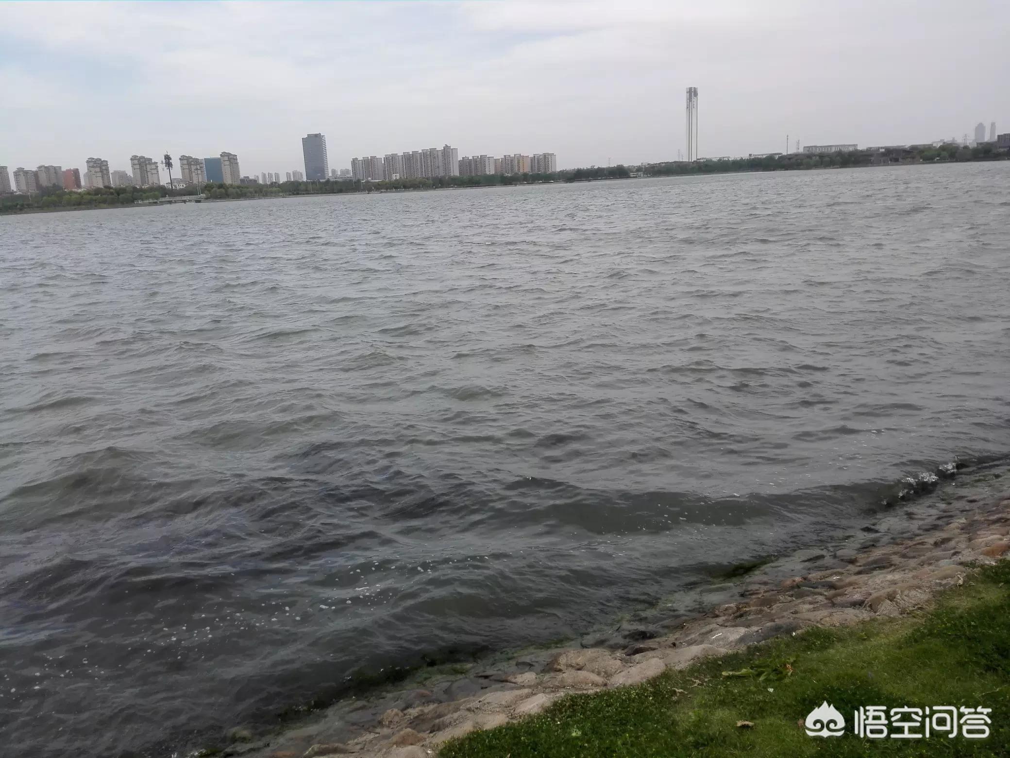 越南美奈海外生活，越南美奈海外生活怎么样
