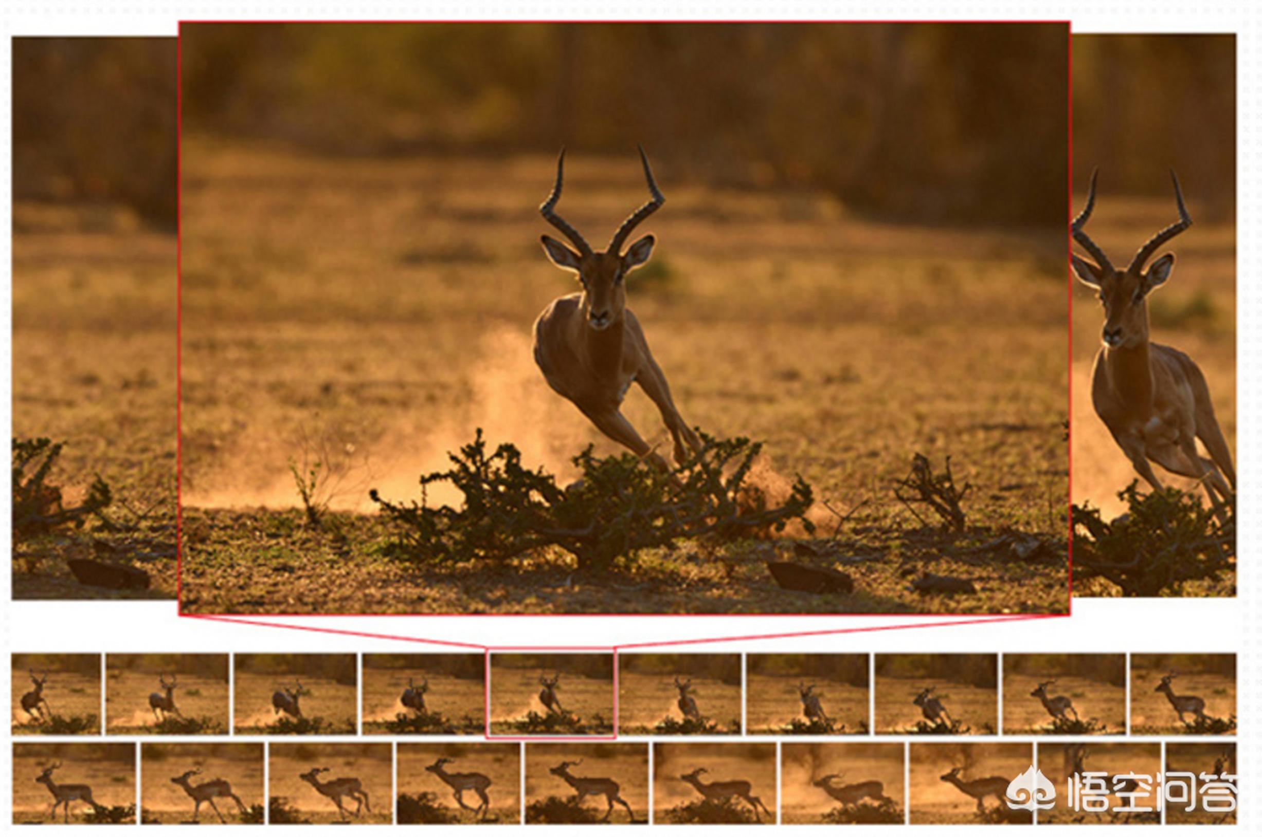 尼康d500（尼康d500深度评测？）