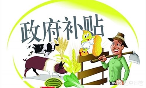 全面升级！国家税务总局电子申报软件正式推出，助您提前完成纳税任务，
