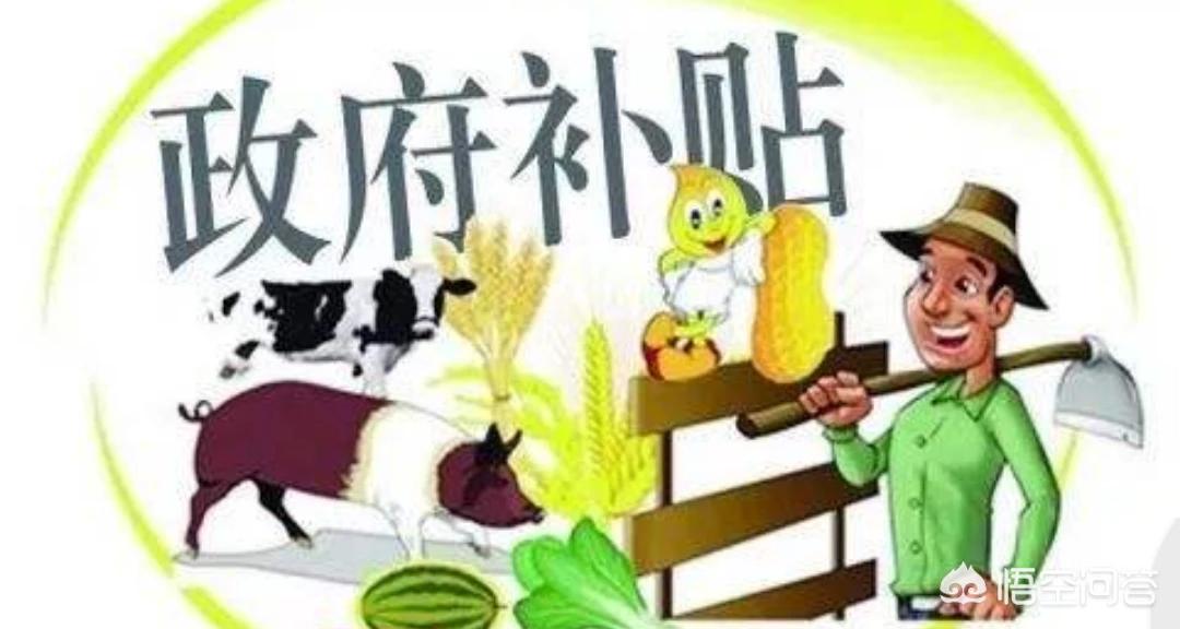 全面升级！国家税务总局电子申报软件正式推出，助您提前完成纳税任务，