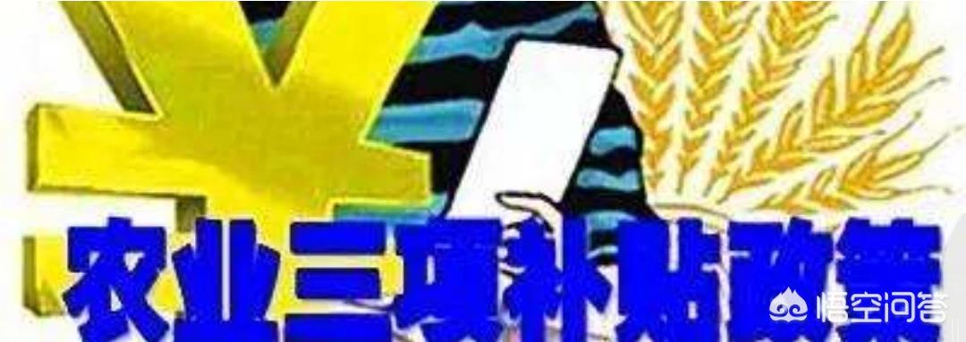全面升级！国家税务总局电子申报软件正式推出，助您提前完成纳税任务，