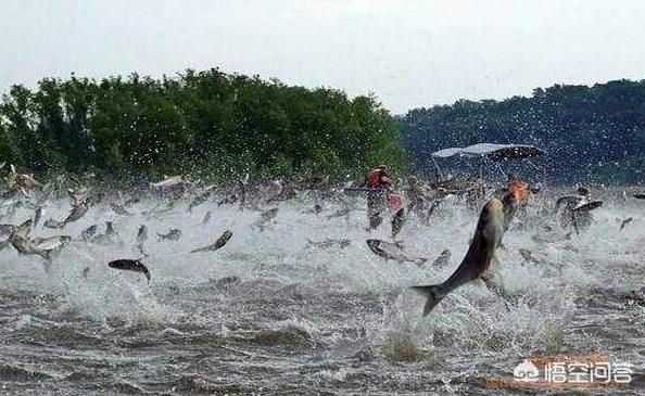 海外生活挣钱买美食，海外卖什么好