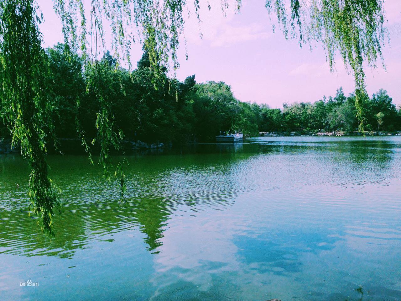 河南考北大怎么样