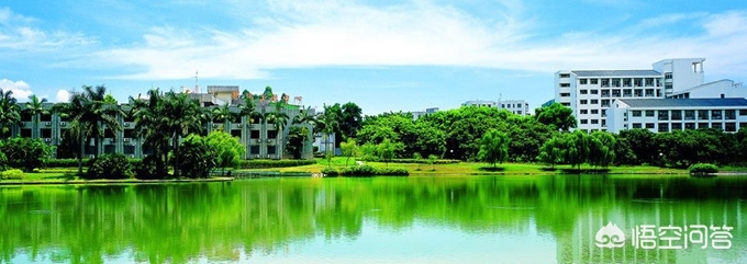 坪山大学城未来有哪些大学？