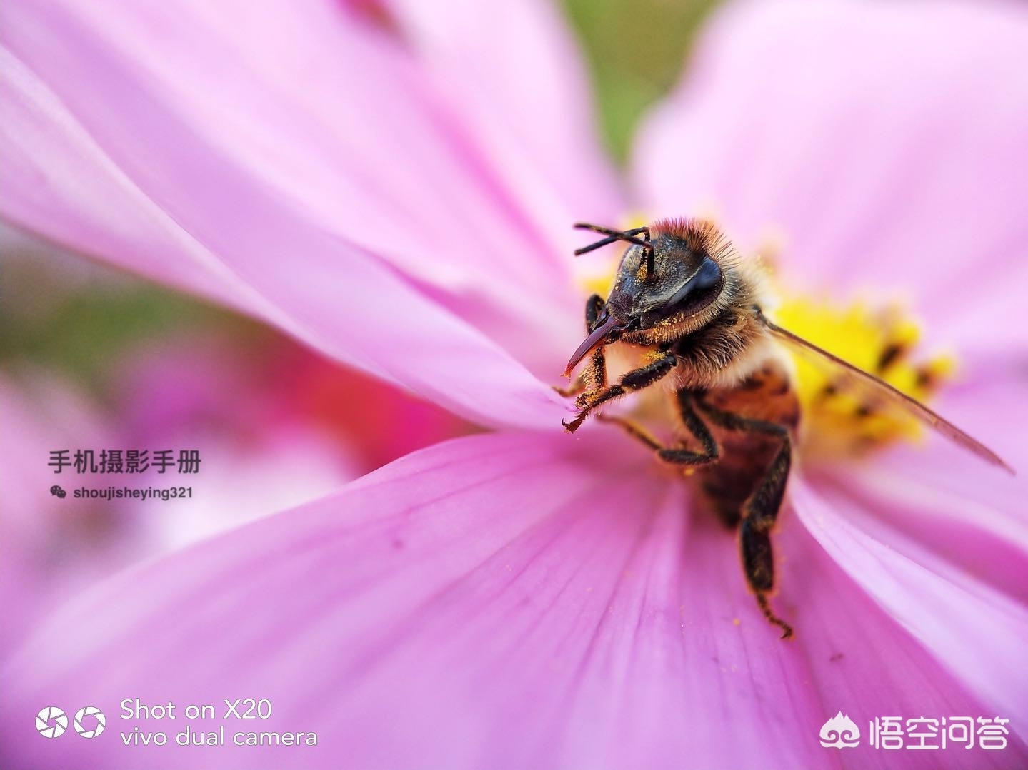 [摄影包]摄影包的选购攻略？