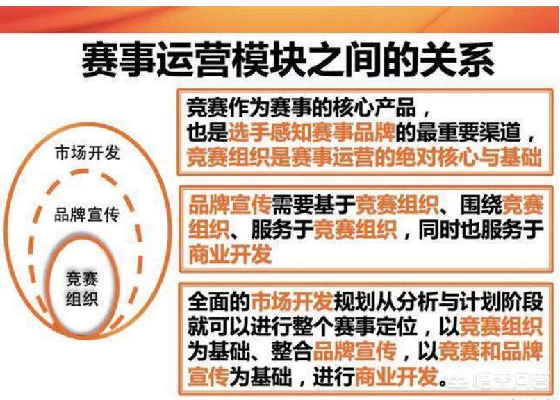 专业体育赛事运营公司（创建一个体育赛事运营公司需要哪些人员？）