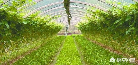 全面升级！国家税务总局电子申报软件正式推出，助您提前完成纳税任务，