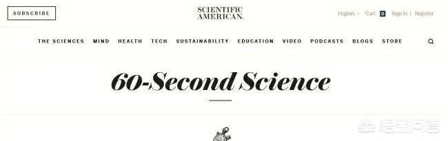 英文网站的制作公司有哪些,有哪些有意思高质量的英文网站?