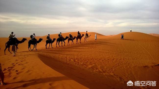 兰州市哪里骑骆驼最多啊