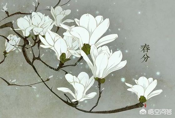 农历的由来（农历的来历？）