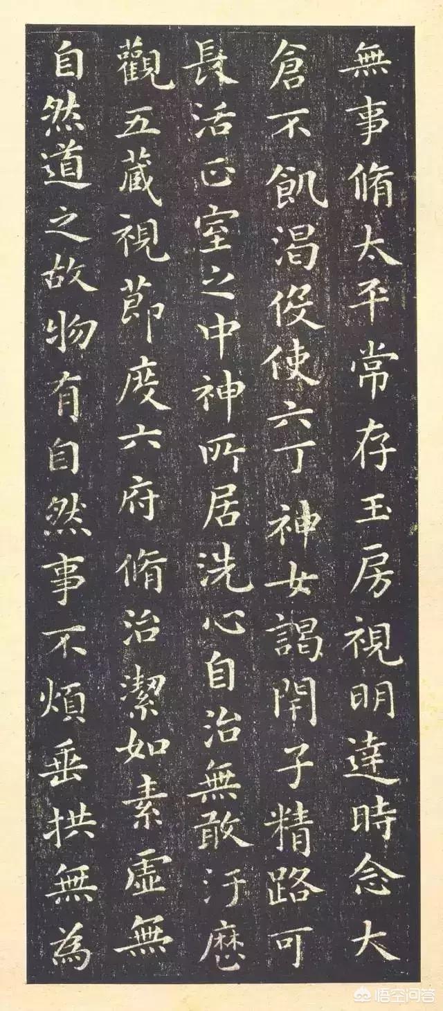 什么是草书气息的字体