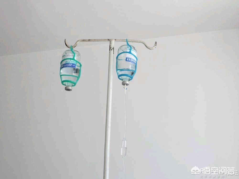 记录海外生活的点滴，记录海外生活的点滴作文