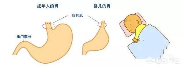 [3女子带4孩多次续面]宝宝两次喂奶之间会吐奶三到四次，是生病了吗？