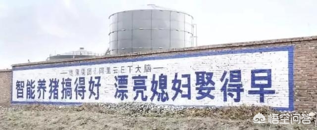 什么是云平台？：云平台是什么