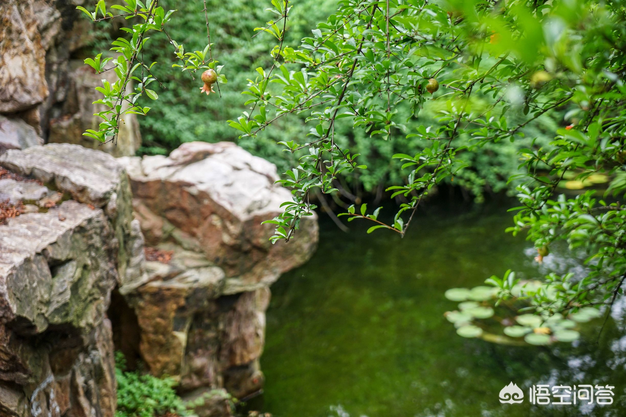 江苏州常熟有什么景点