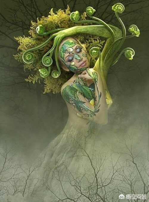 你如何看待现在一部分年轻女性去影楼拍摄暴露的人体摄影？：人体摄影