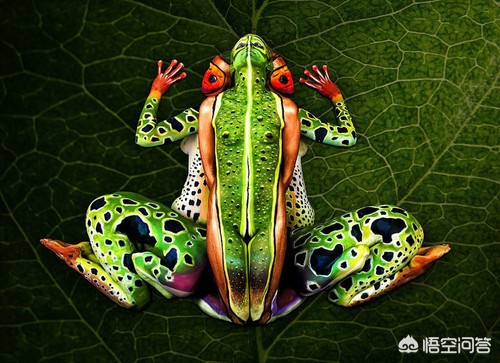 你如何看待现在一部分年轻女性去影楼拍摄暴露的人体摄影？：人体摄影