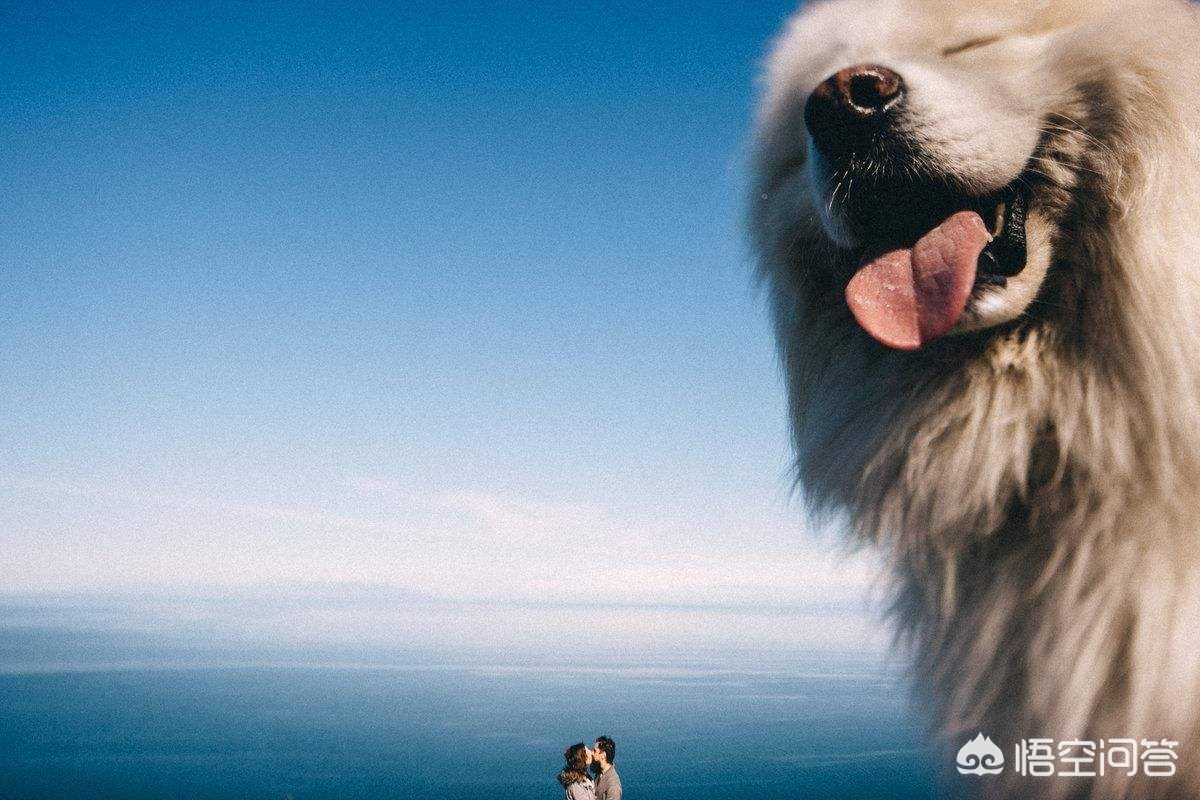 你如何看待现在一部分年轻女性去影楼拍摄暴露的人体摄影？：人体摄影