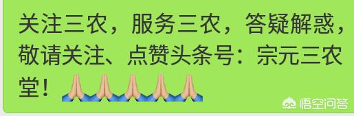 昌吉汽车报价大全,昌吉汽车报价大全最新
