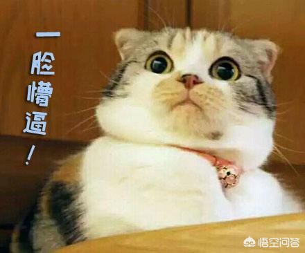 彩妆好物推荐多色美甲
