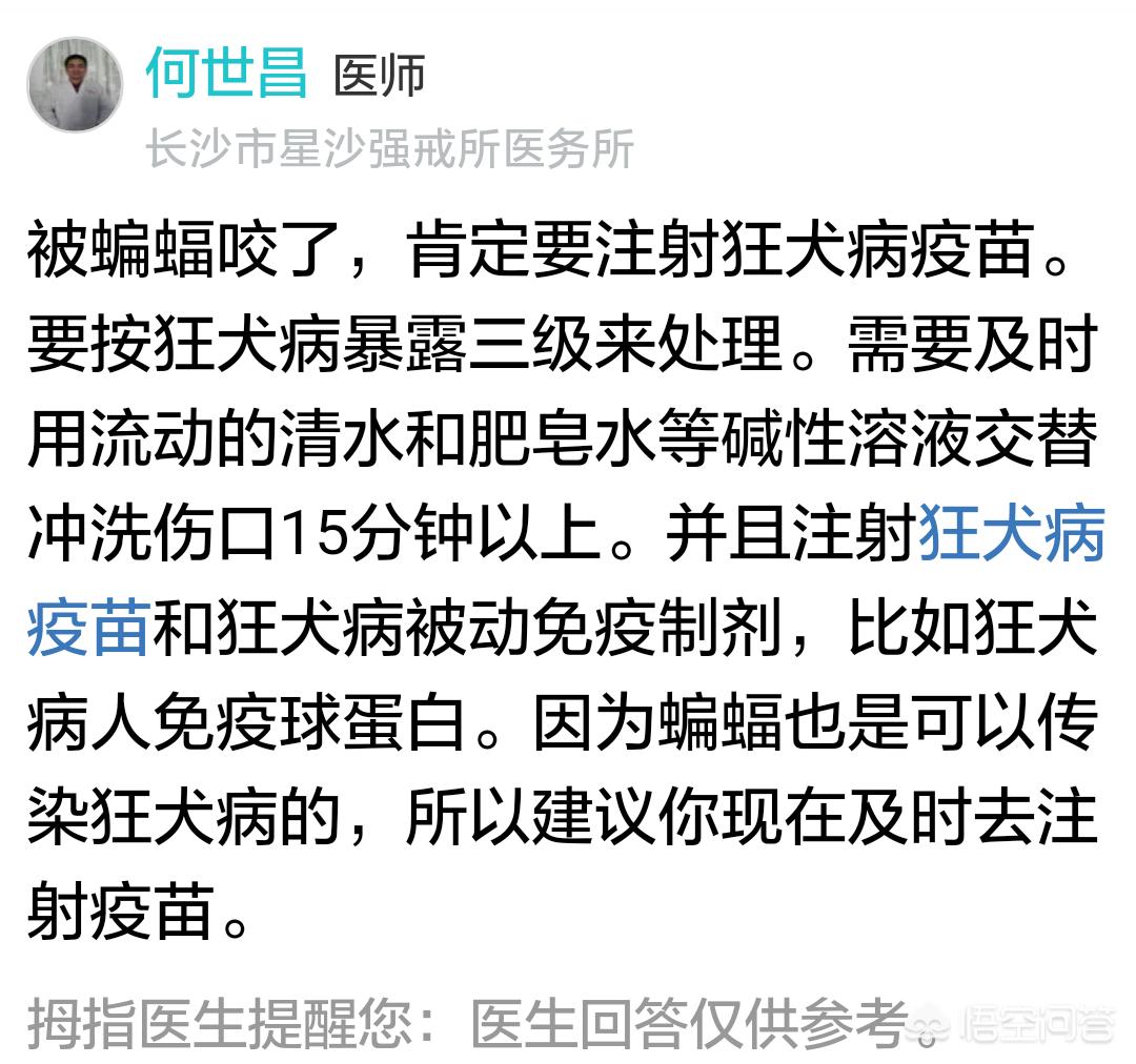 徒手抓蝙蝠被咬伤（满分求~~各位不慎被蝙蝠咬伤过的兄弟姐妹们说说看，蝙蝠咬伤疼吗？是什么感觉，你在清醒状态下感觉的到吗？）