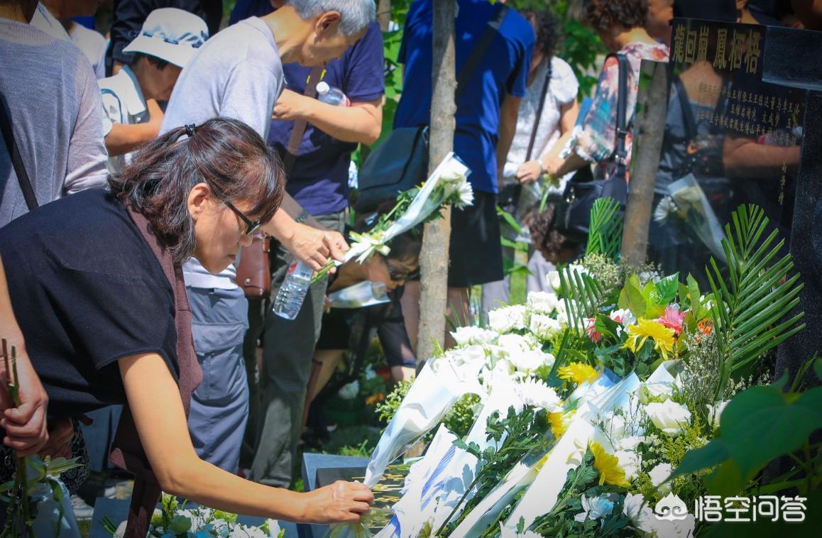 沈阳市怎么补办安葬证