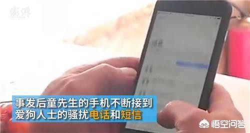 儿子被家中狗咬身亡