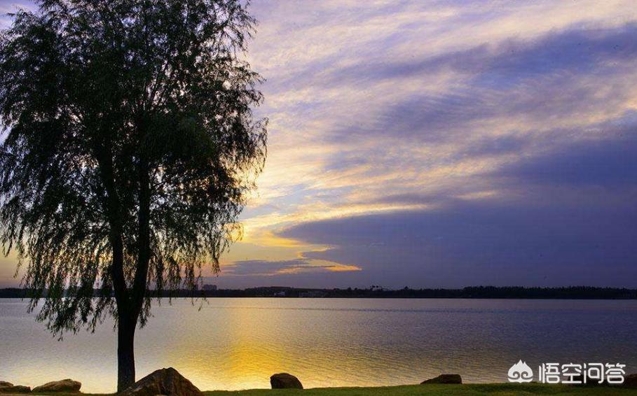 沈阳市丁香买房怎么样 沈阳市丁香买房怎么样