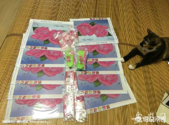 合肥市摆摊卖画怎么样