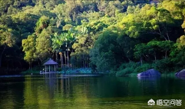 厦门哪里可以野钓？