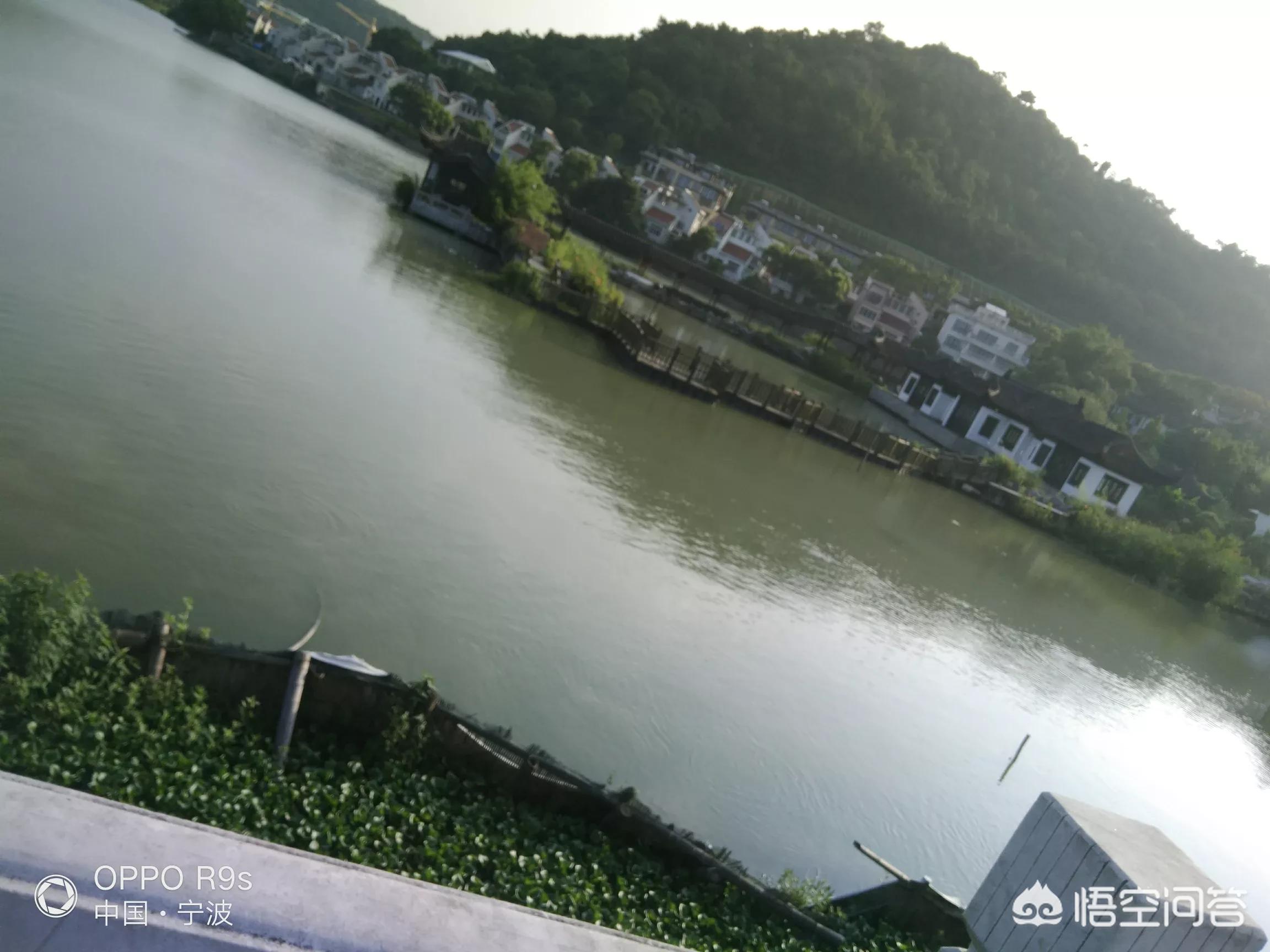 福建哪个车牌麻烦