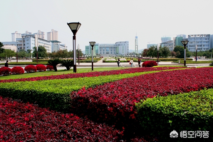 重庆文理学院美术怎么样