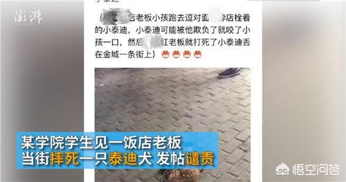 儿子被家中狗咬身亡（怎么看待两岁儿子被咬男子摔死狗遭到爱狗人士咒骂的事件？）