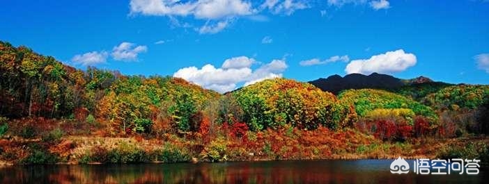 哈尔滨有哪些森林公园？