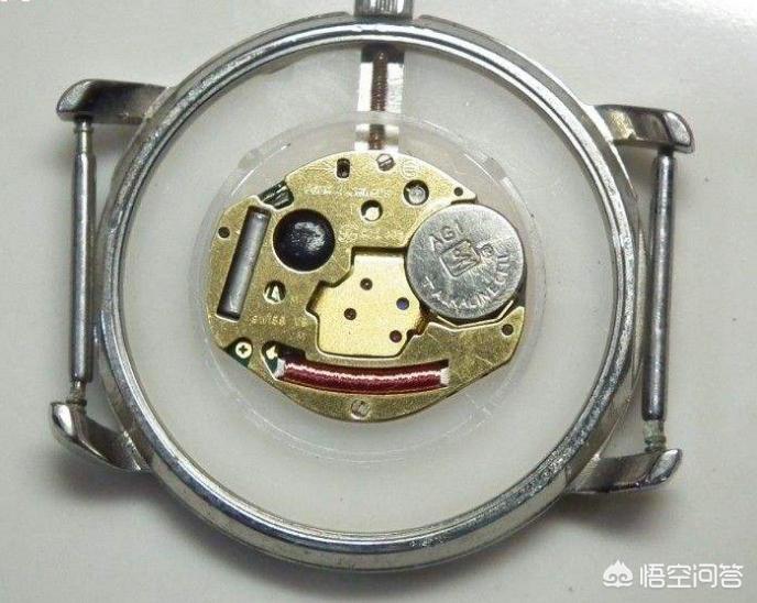 老白海外生活，